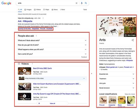 anatomy of a serp|Anatomy of the SERP: A complete guide .